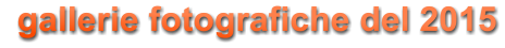 gallerie fotografiche del 2015